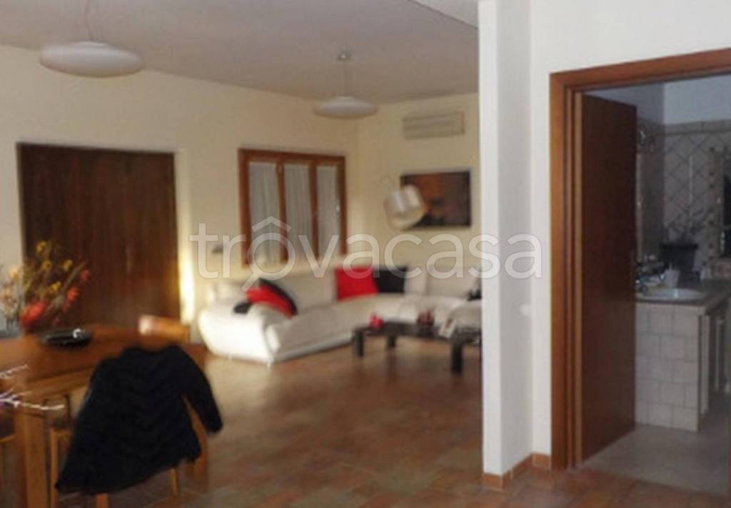 immagine annuncio 5 di 14