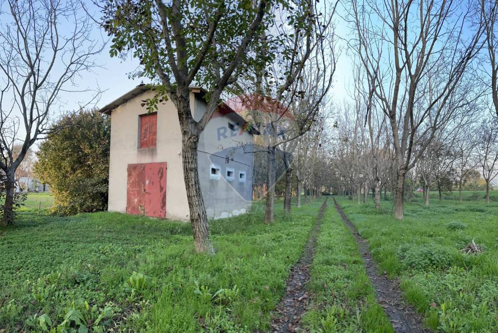immagine annuncio 7 di 9