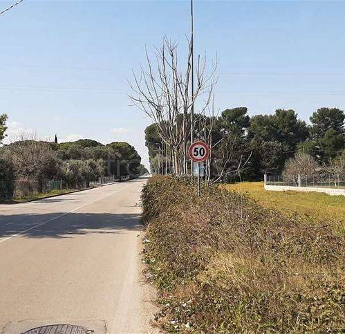 immagine annuncio 8 di 9