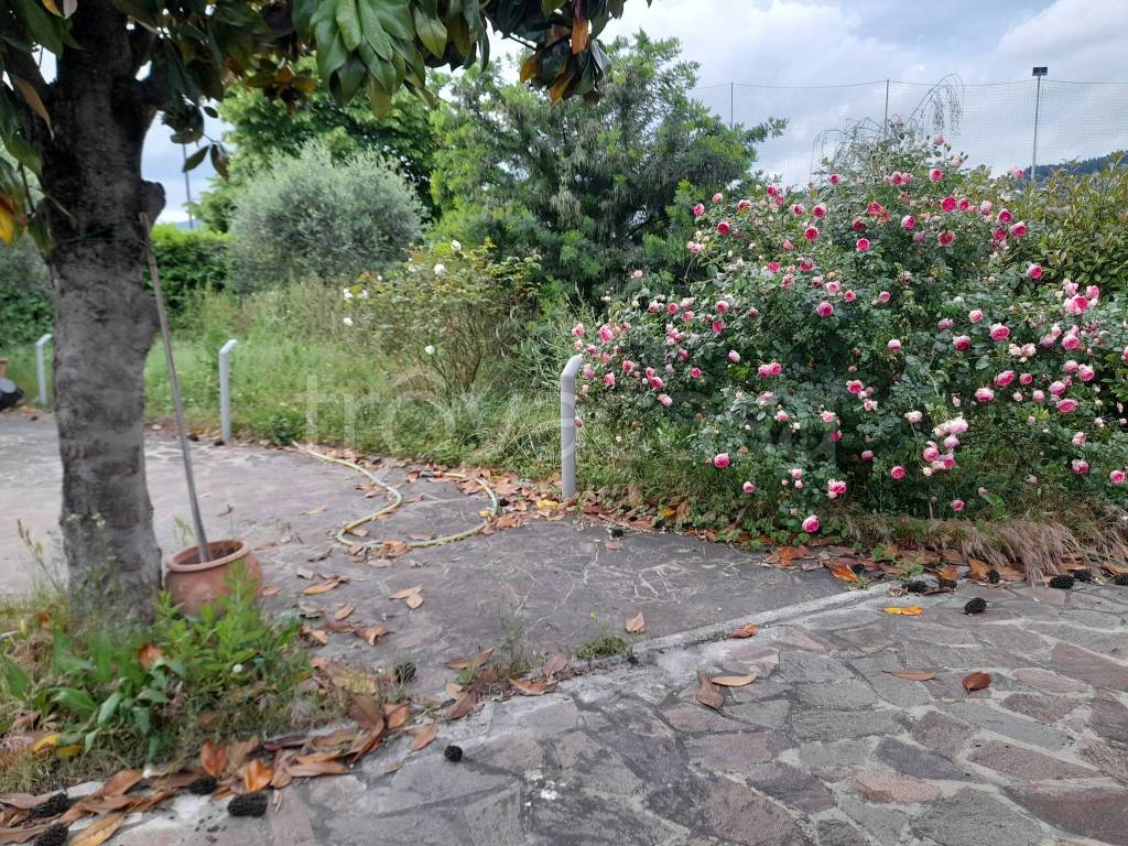 immagine annuncio 10 di 14