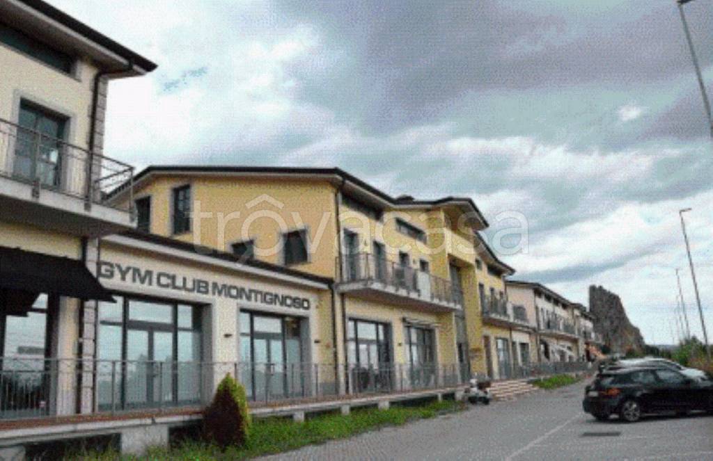 immagine annuncio 9 di 13