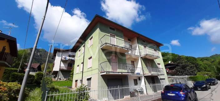 immagine annuncio 1 di 12