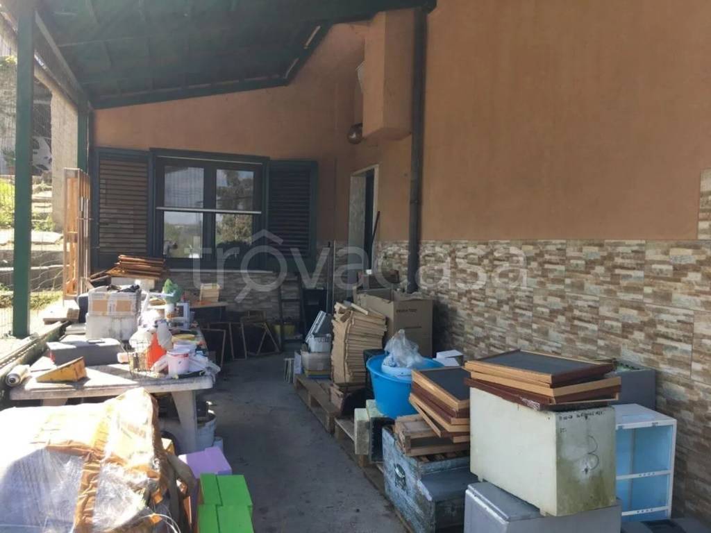 immagine annuncio 3 di 13