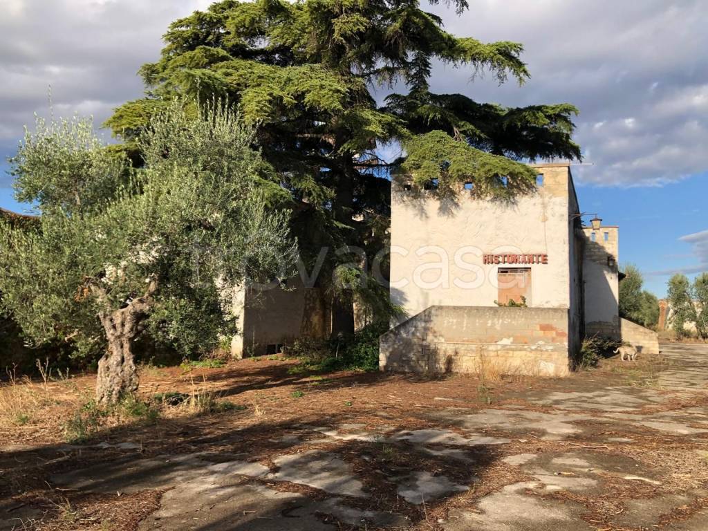 immagine annuncio 2 di 11