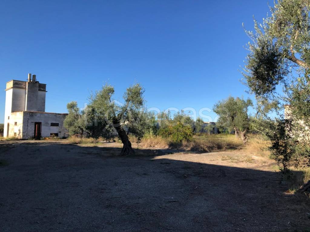 immagine annuncio 4 di 11