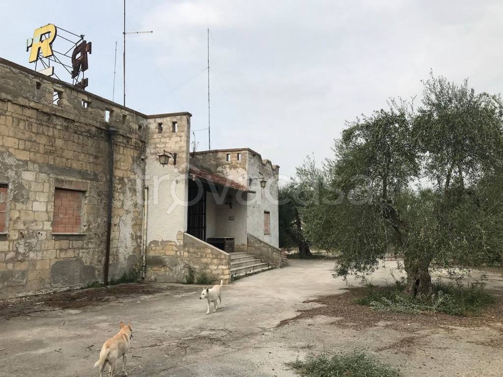 immagine annuncio 7 di 11
