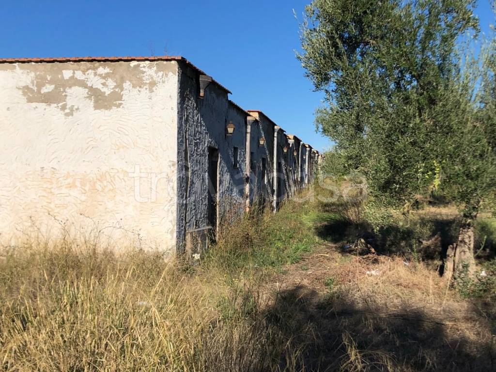 immagine annuncio 9 di 11