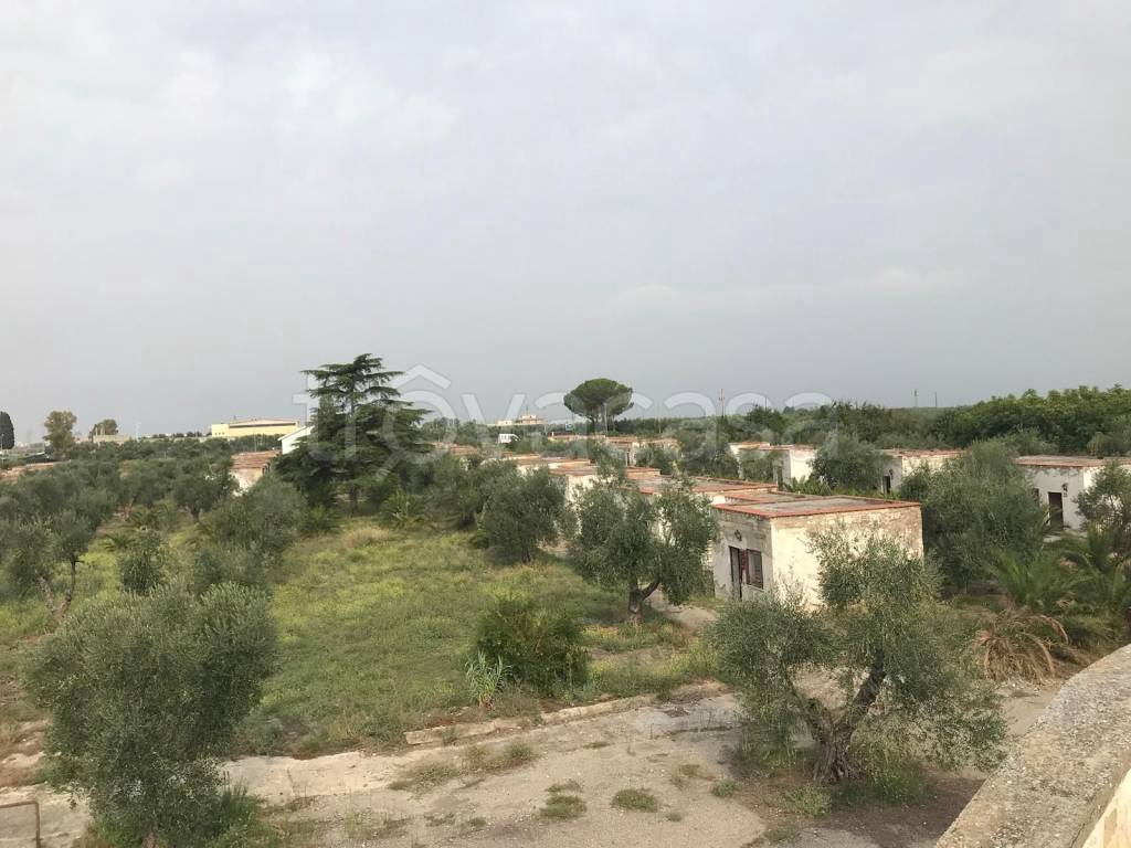 immagine annuncio 10 di 11