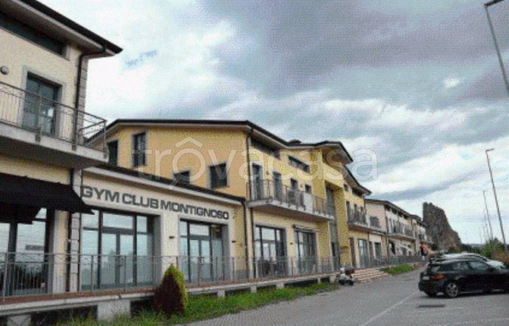 immagine annuncio 1 di 9