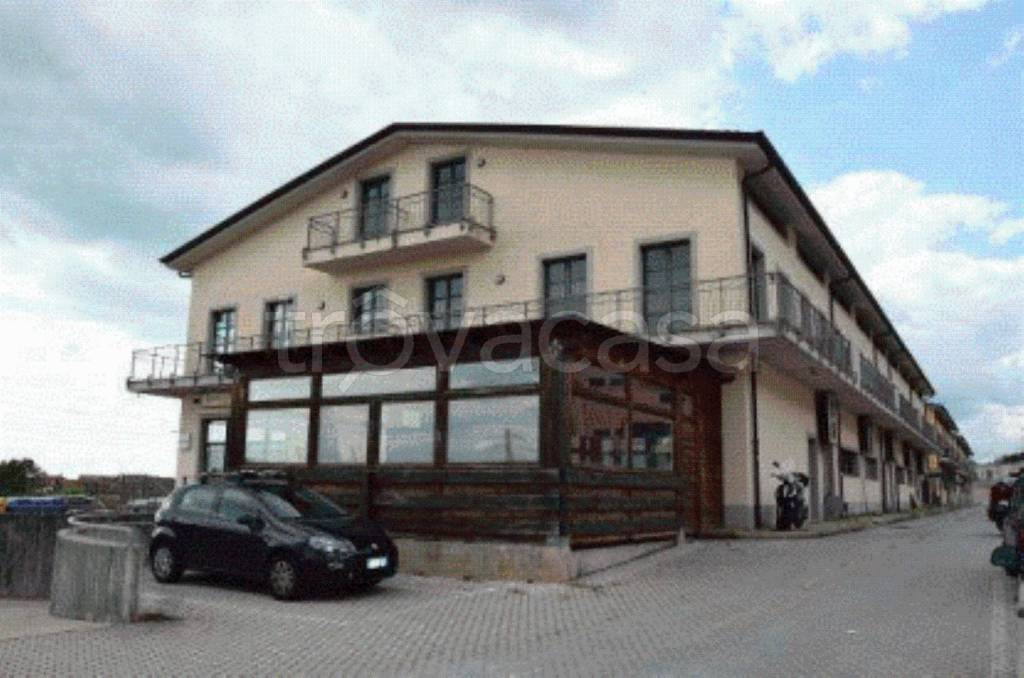 immagine annuncio 5 di 9