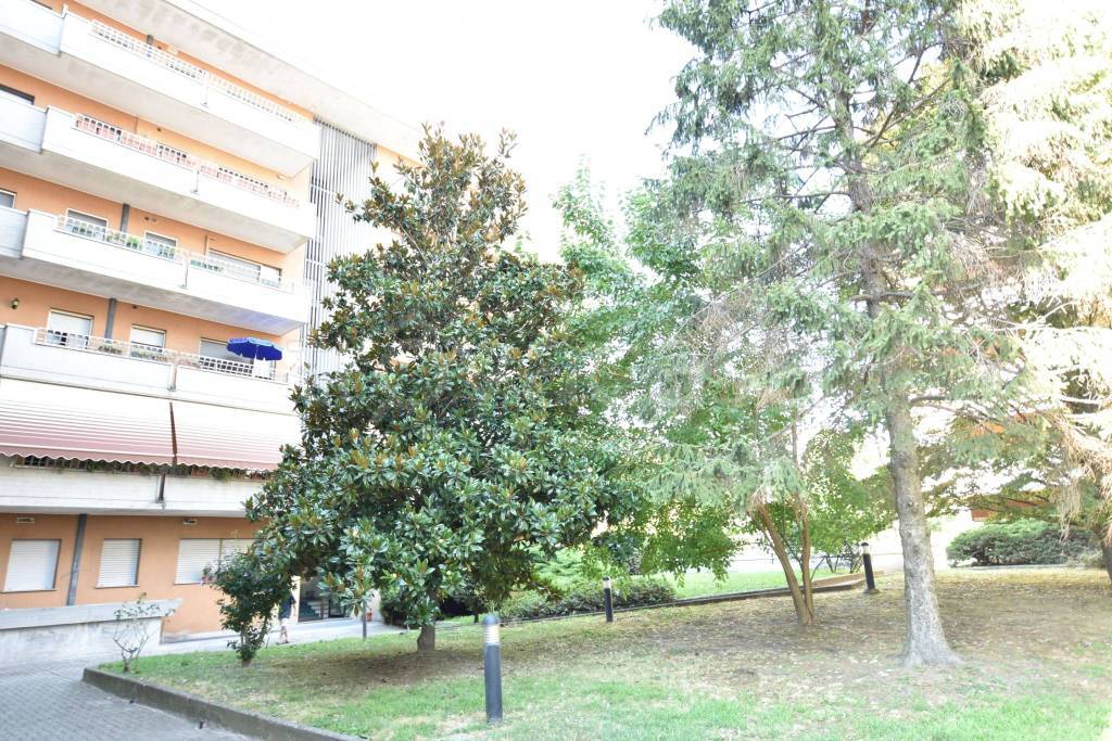 immagine annuncio 8 di 9
