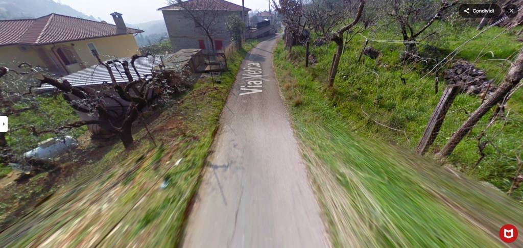 immagine annuncio 5 di 8
