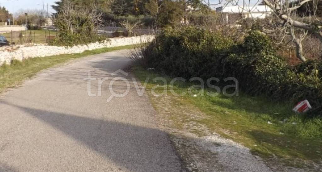 immagine annuncio 3 di 11