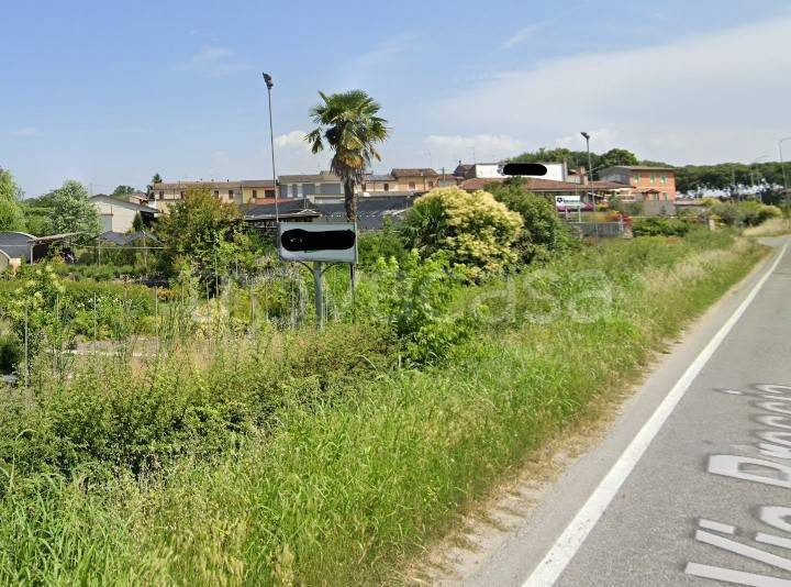 immagine annuncio 3 di 8