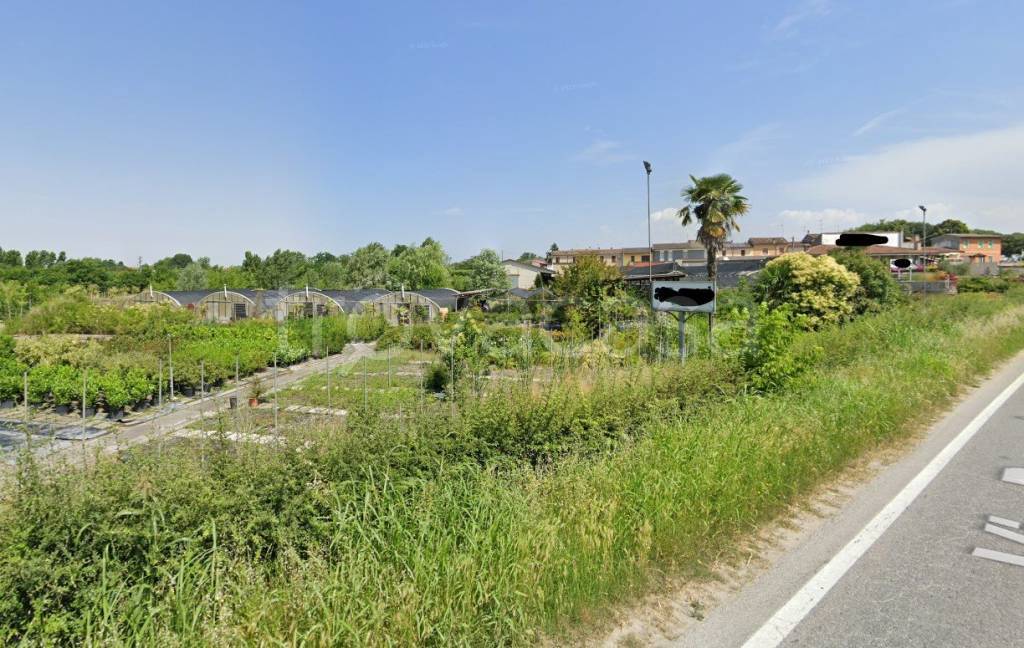 immagine annuncio 4 di 8