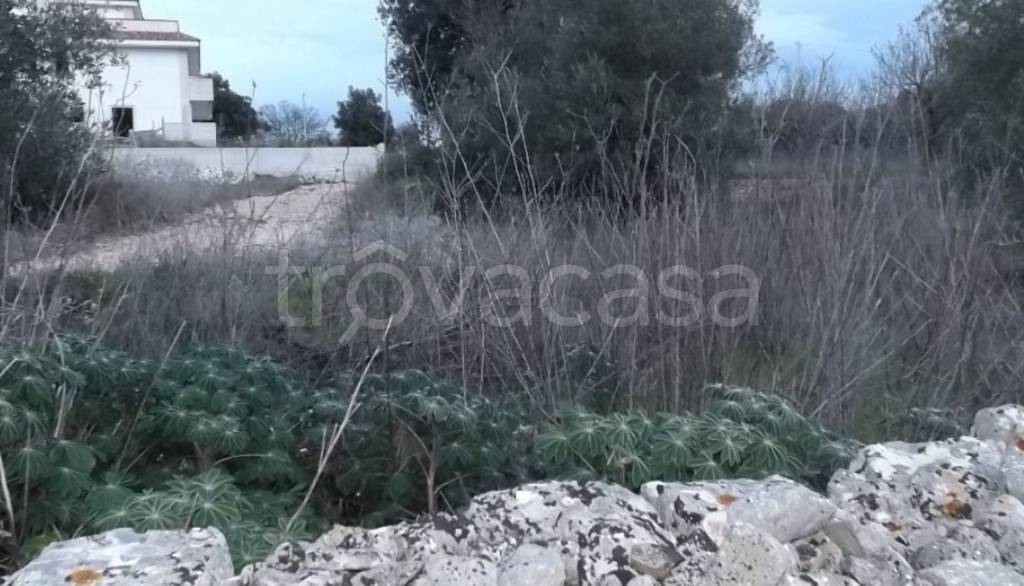 immagine annuncio 3 di 8