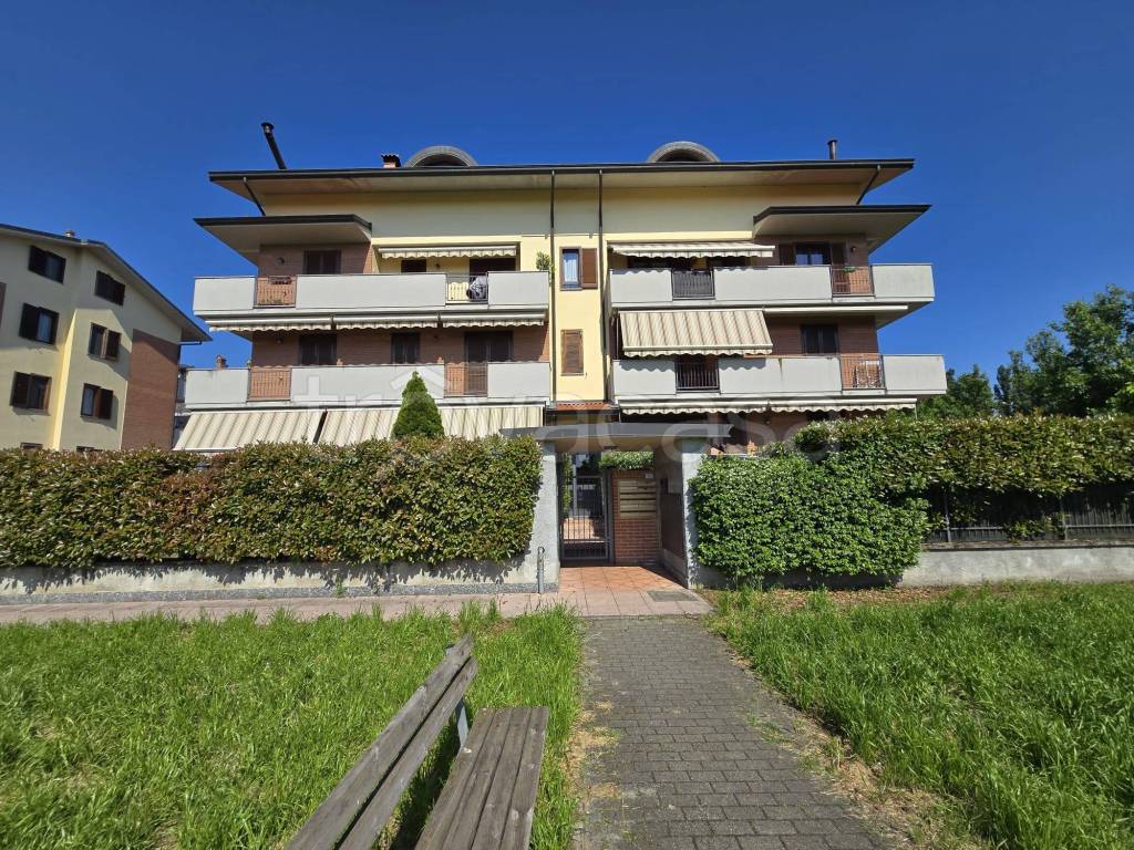 immagine annuncio 2 di 15