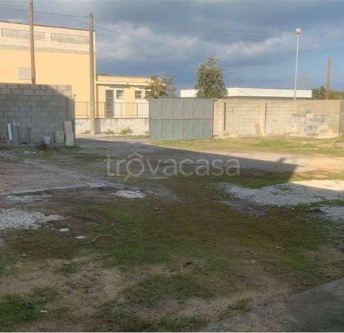 immagine annuncio 4 di 6