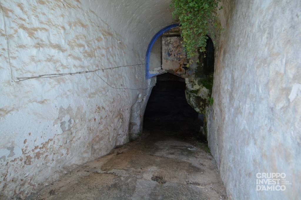 immagine annuncio 5 di 14