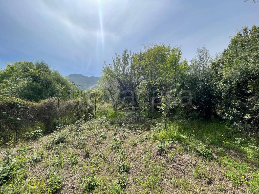 immagine annuncio 5 di 11