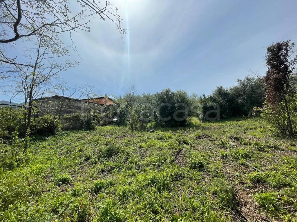 immagine annuncio 6 di 11