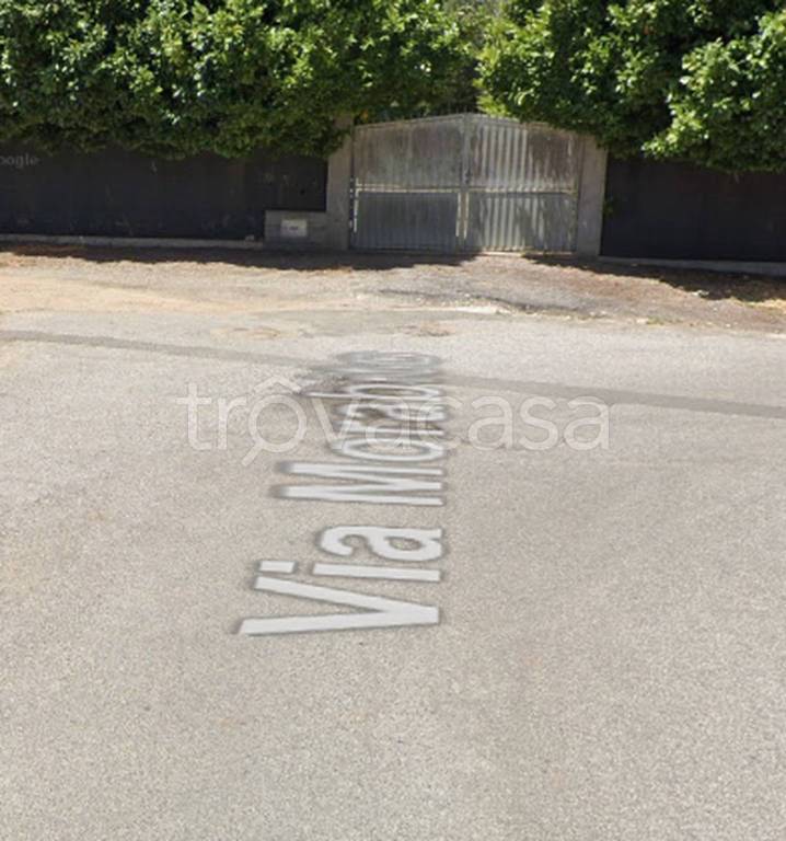 immagine annuncio 10 di 11
