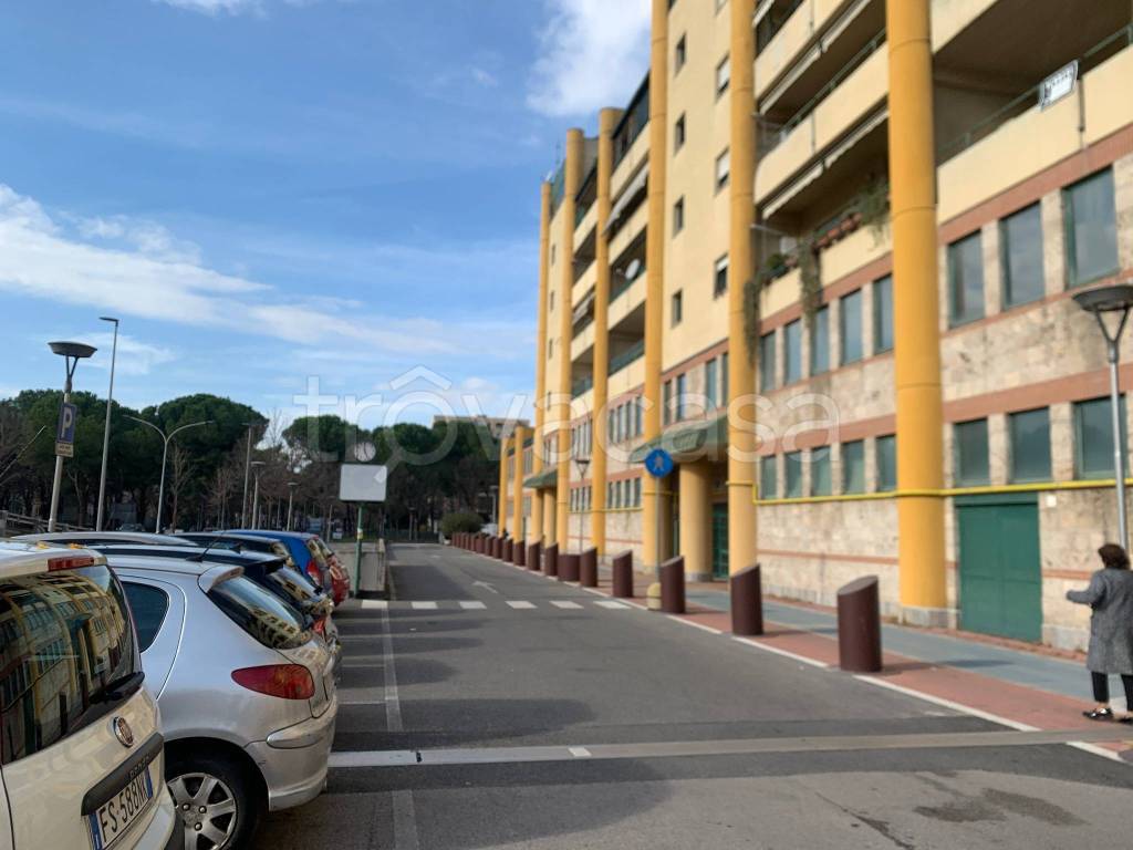 immagine annuncio 11 di 13