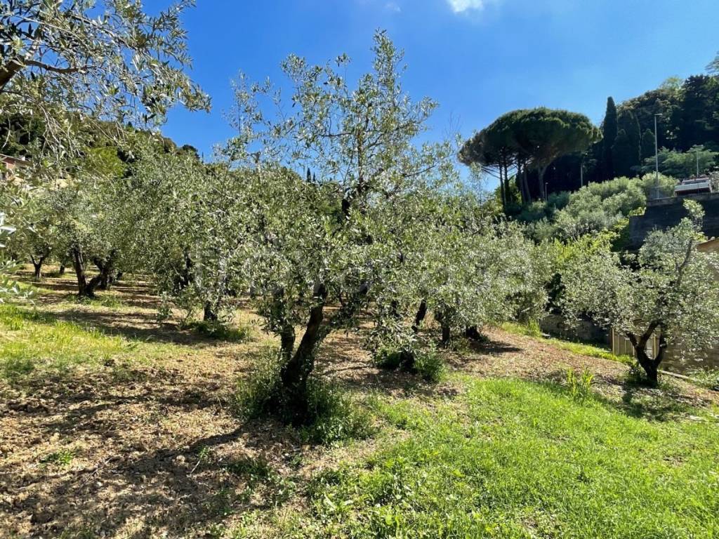 immagine annuncio 2 di 8
