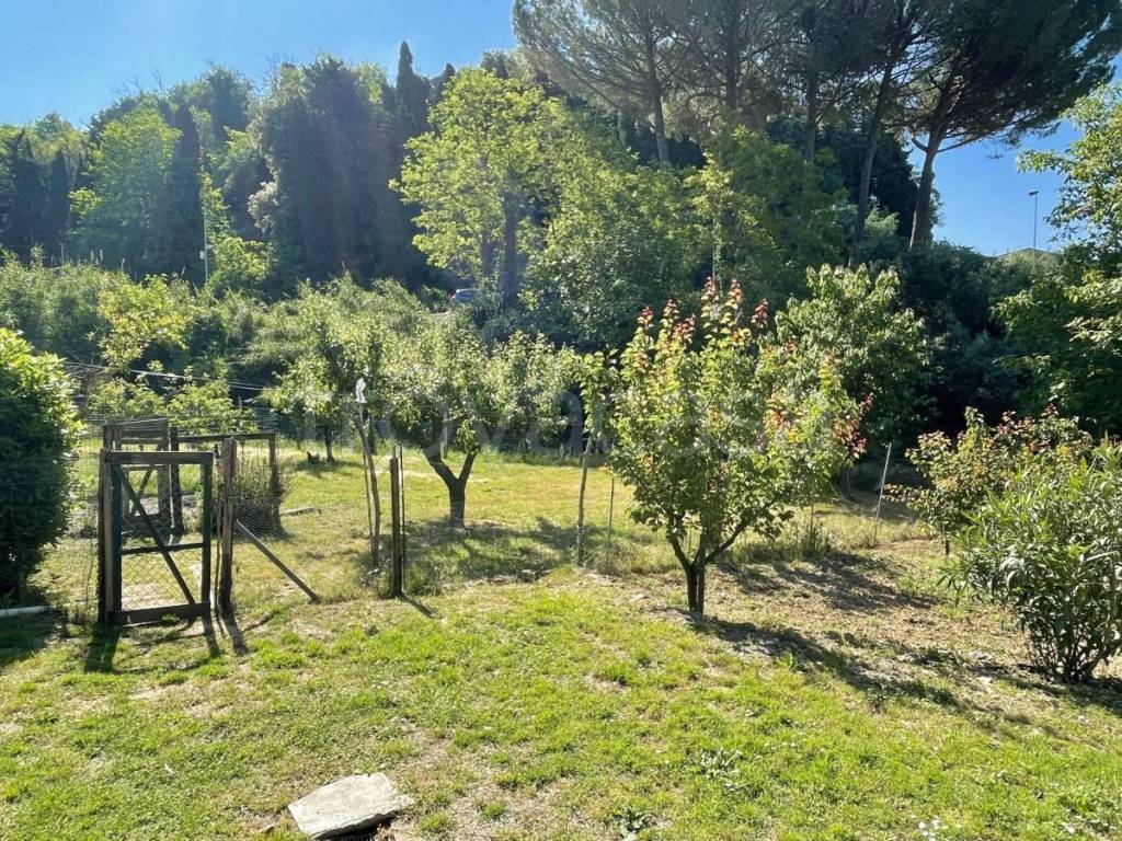 immagine annuncio 5 di 8