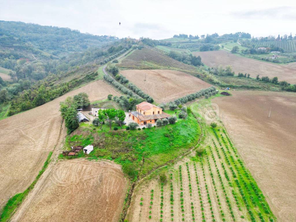 immagine annuncio 1 di 11