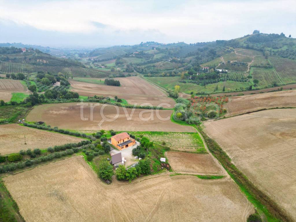 immagine annuncio 2 di 11