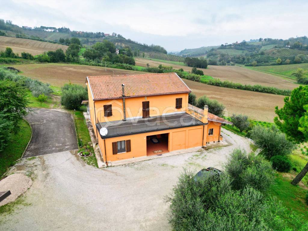 immagine annuncio 5 di 11