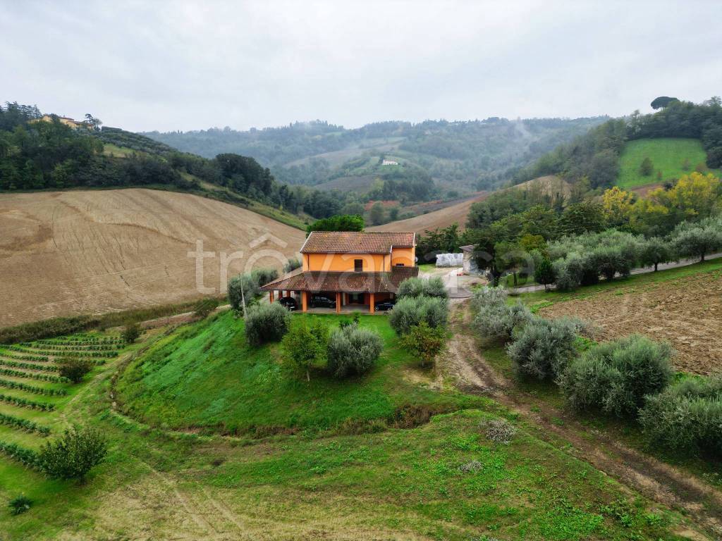 immagine annuncio 7 di 11