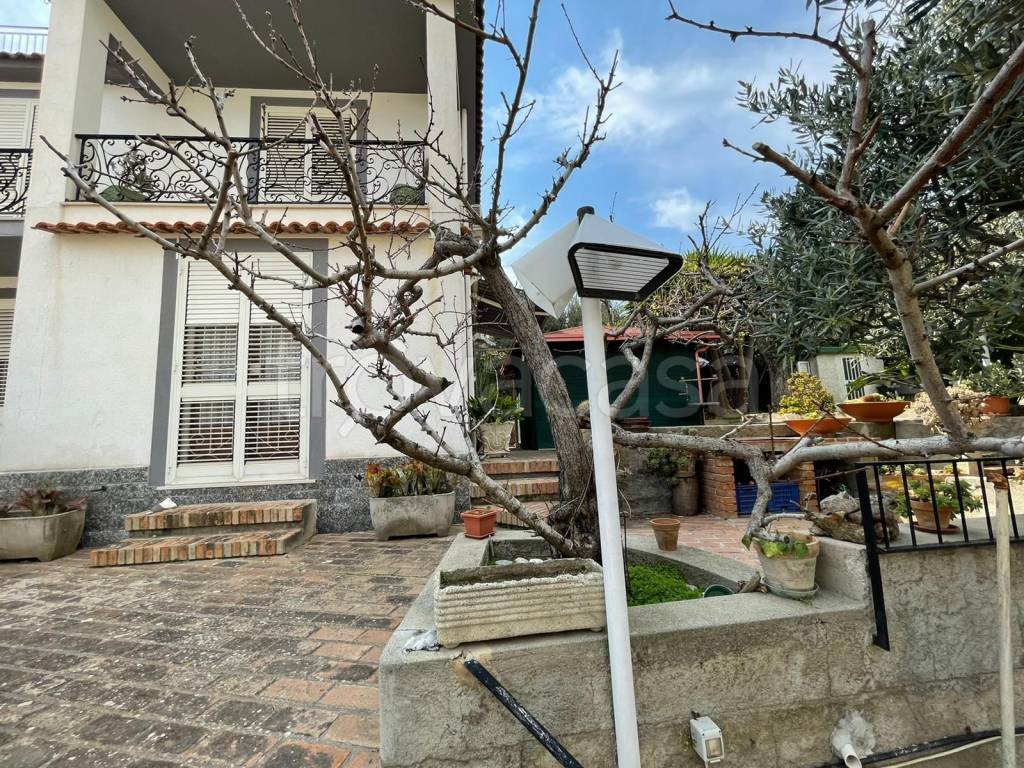 immagine annuncio 6 di 12