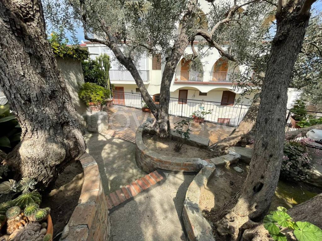 immagine annuncio 7 di 12