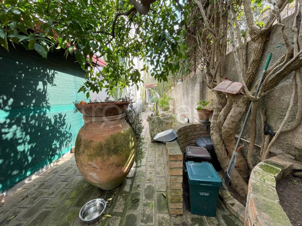 immagine annuncio 8 di 12