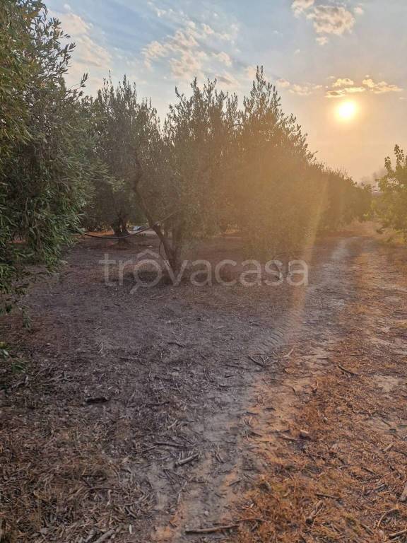 immagine annuncio 4 di 14