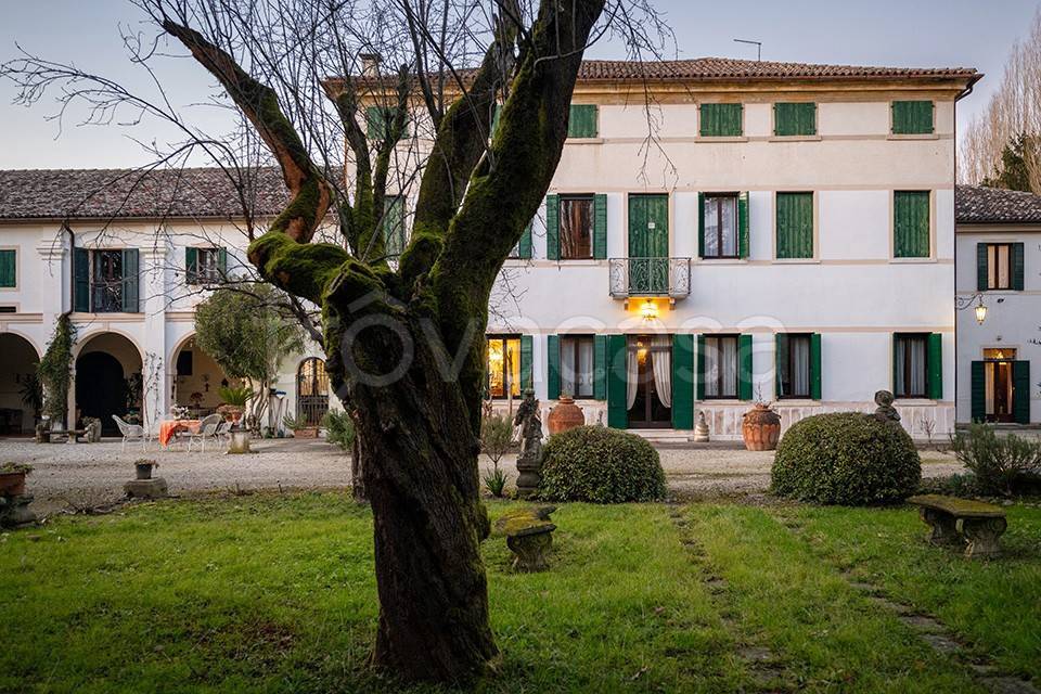 immagine annuncio 5 di 8