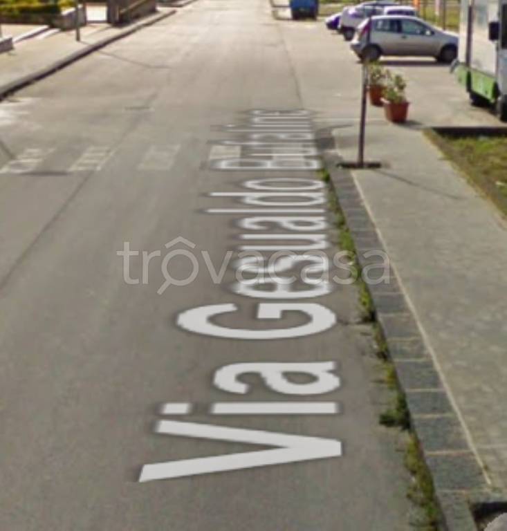 immagine annuncio 12 di 13