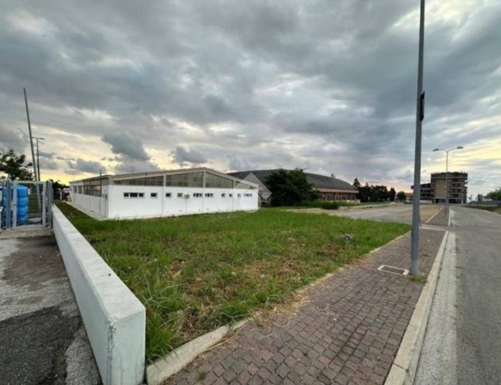 immagine annuncio 5 di 6