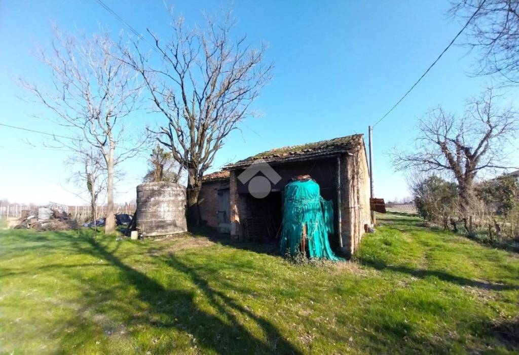 immagine annuncio 11 di 13