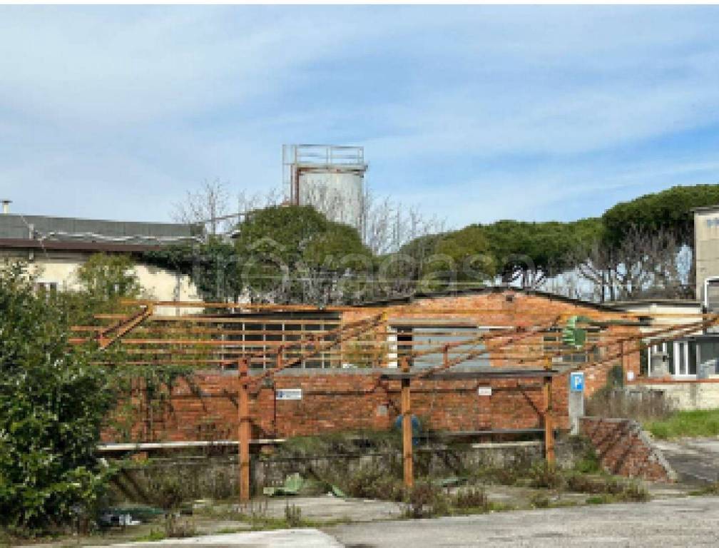 immagine annuncio 9 di 12