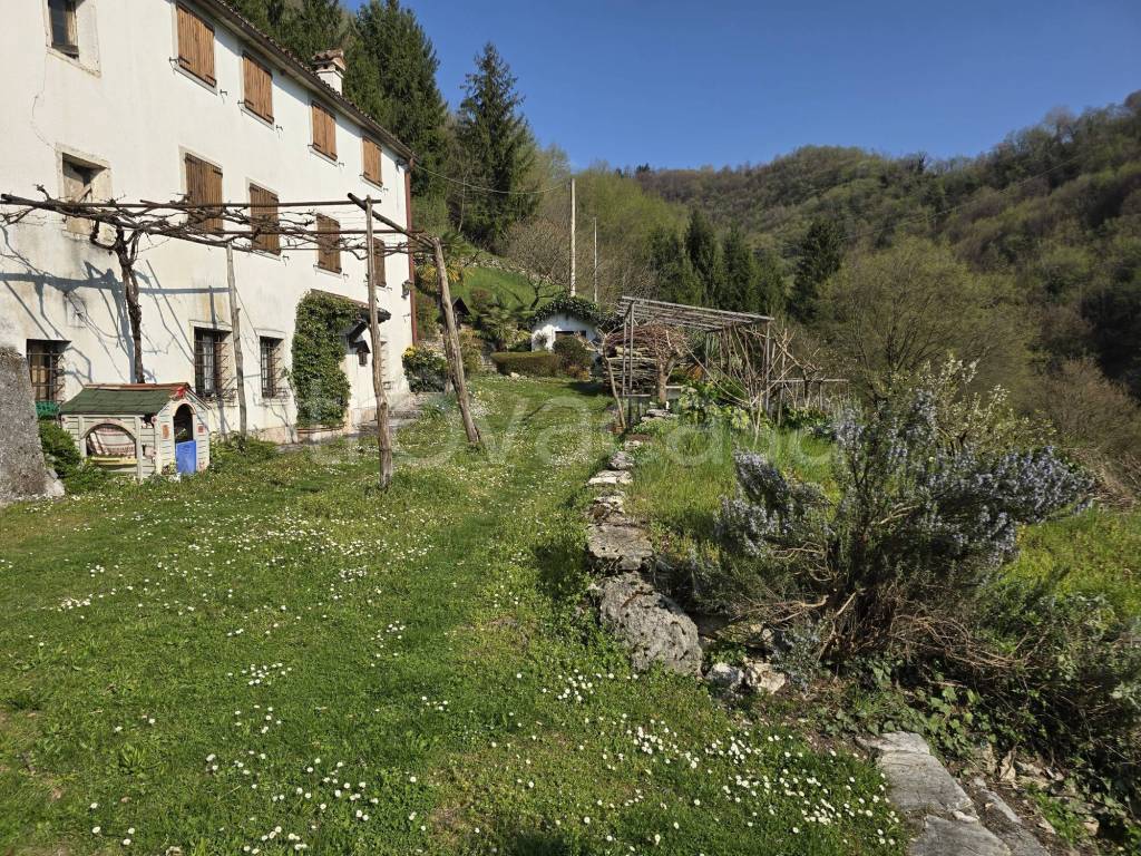 immagine annuncio 1 di 14