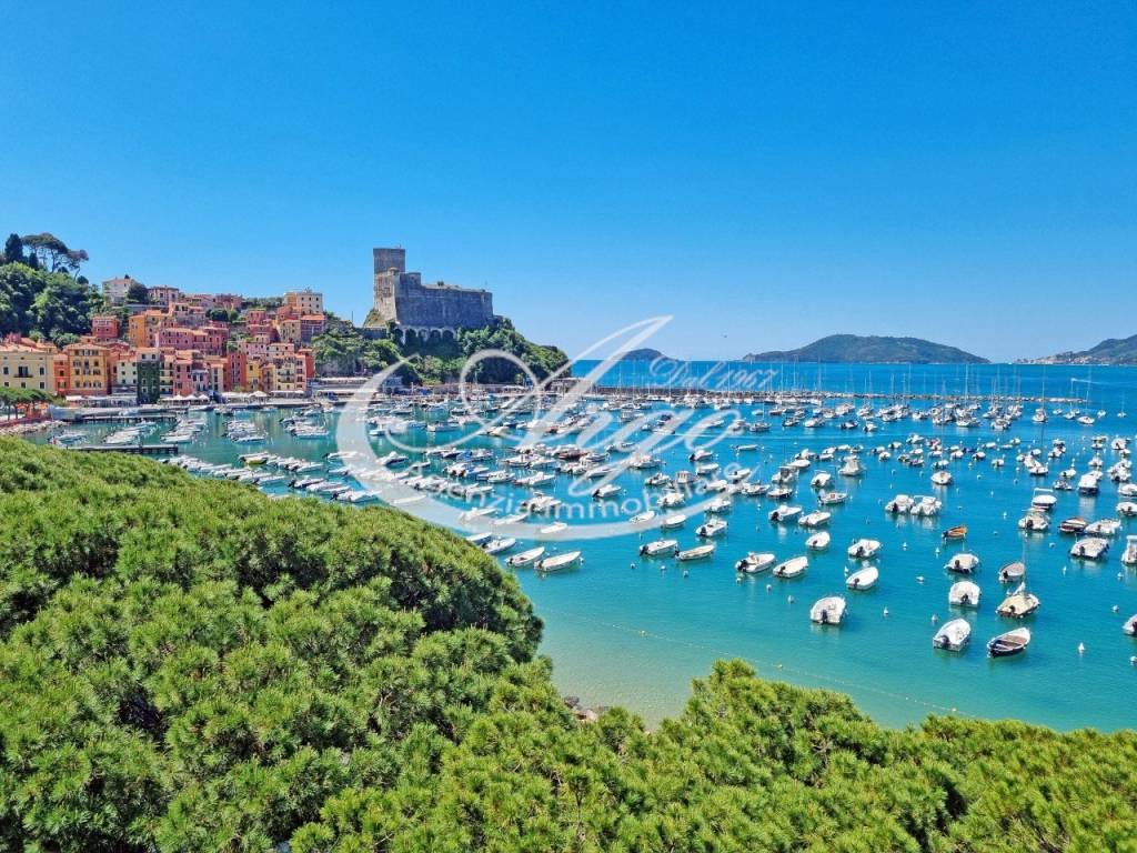 immagine annuncio 5 di 14