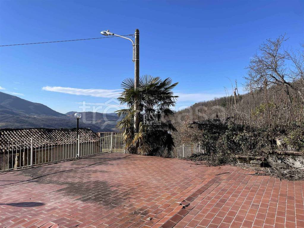 immagine annuncio 4 di 7