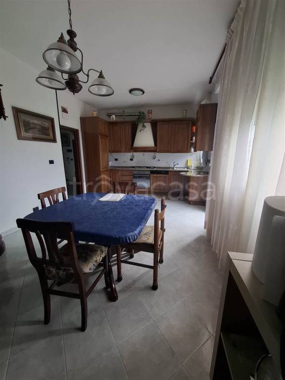 immagine annuncio 6 di 14