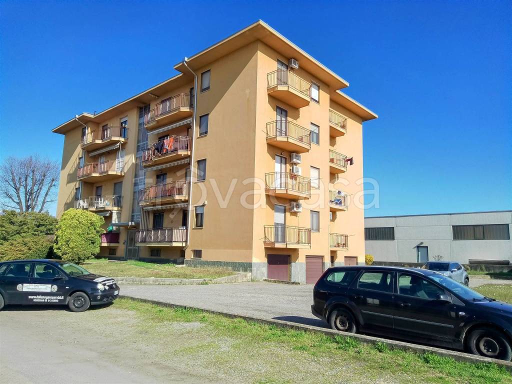 immagine annuncio 2 di 15