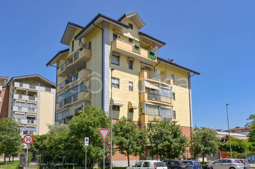 immagine annuncio 3 di 15