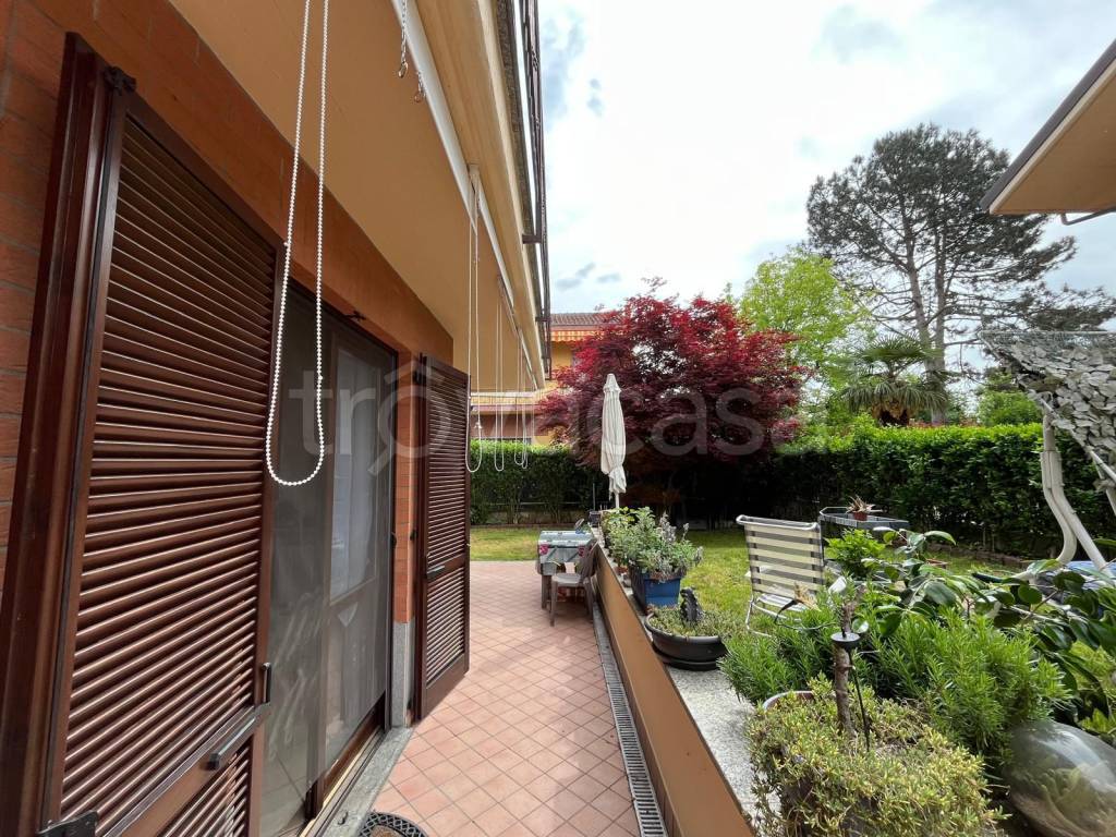 immagine annuncio 3 di 15