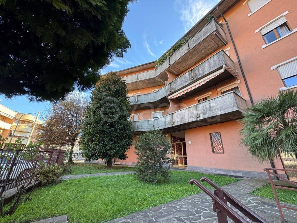 immagine annuncio 1 di 15